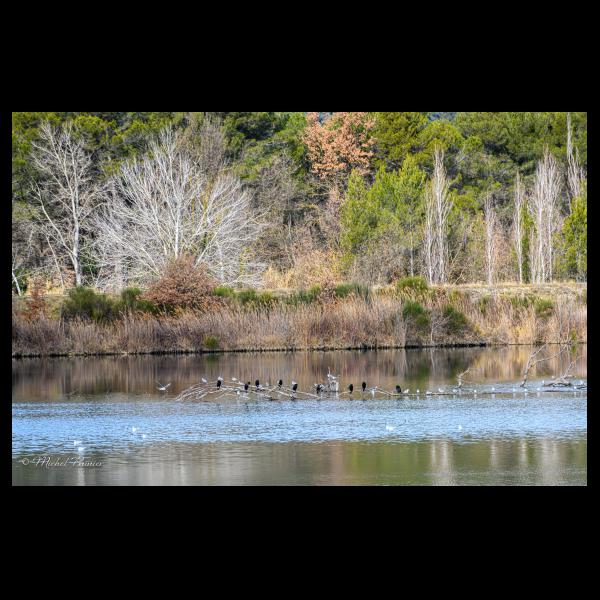PHOTO84, CLUB, 84 , LUBERON